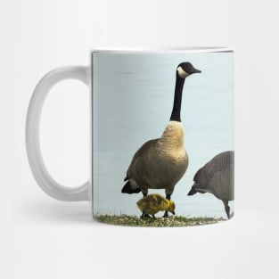 Mother and Father Canada Goose and Their Goslings Mug